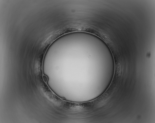X0000116880594200912291244