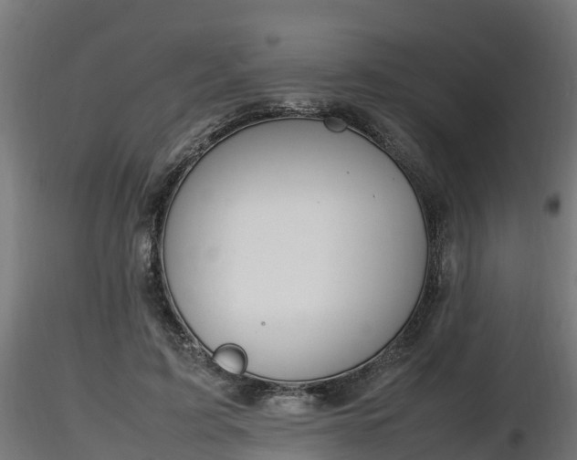 X0000116880595200912291244