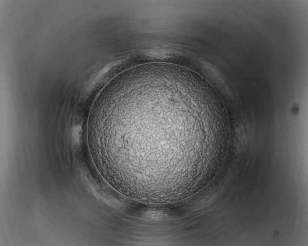 X0000116880596200912291244