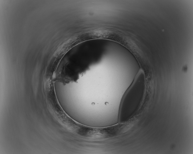 X0000116880597200912291244