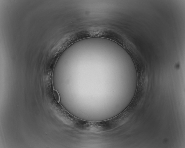 X0000116880601200912291244