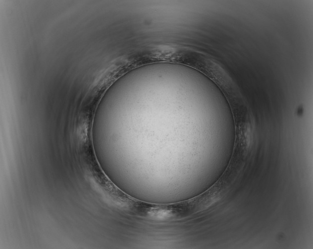 X0000116880602200912291244