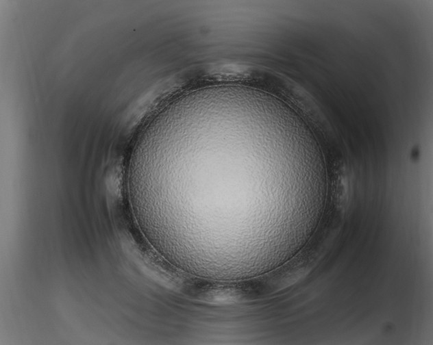 X0000116880604200912291244