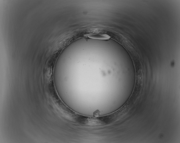 X0000116880605200912291244