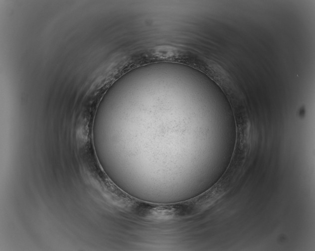 X0000116880606200912291244