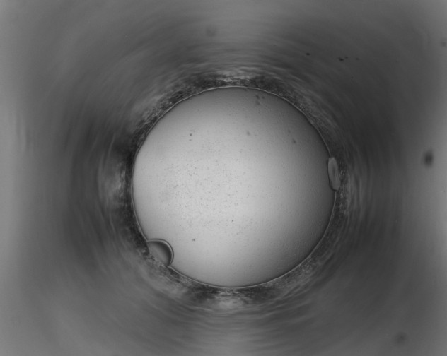 X0000116880608200912291244