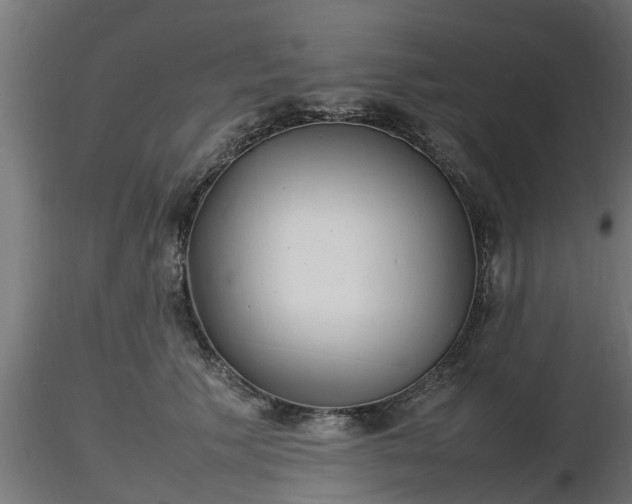 X0000116880609200912291244