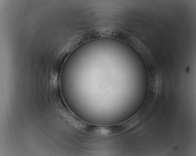 X0000116880610200912291243