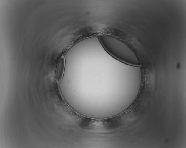 X0000116880611200912291243