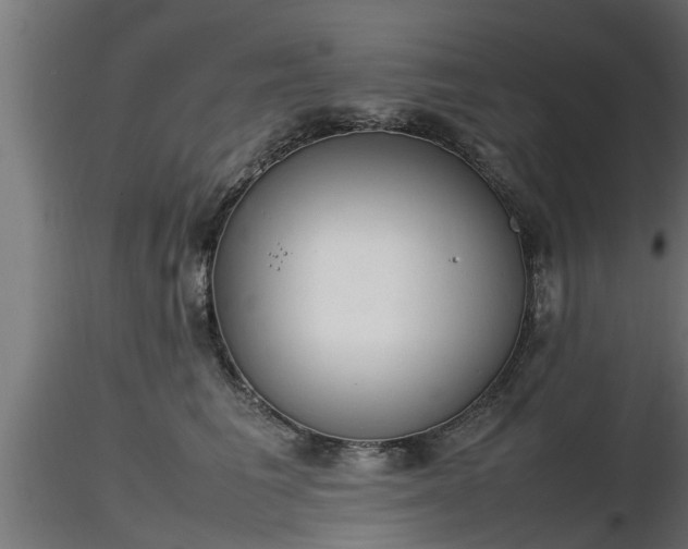 X0000116880613200912291243