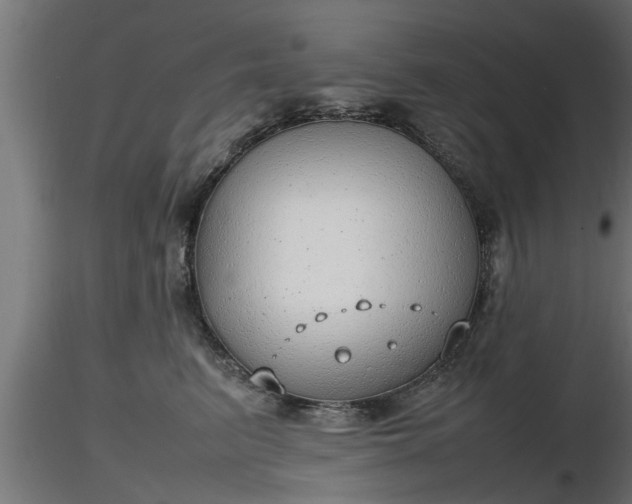X0000116880615200912291243