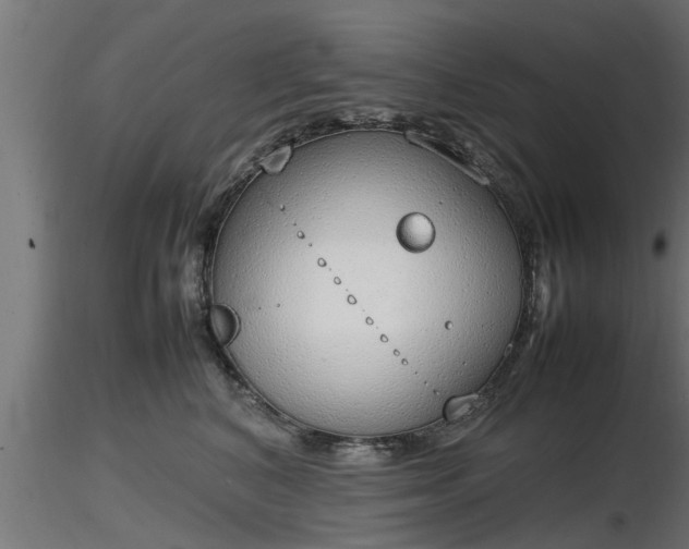 X0000116880616200912291243