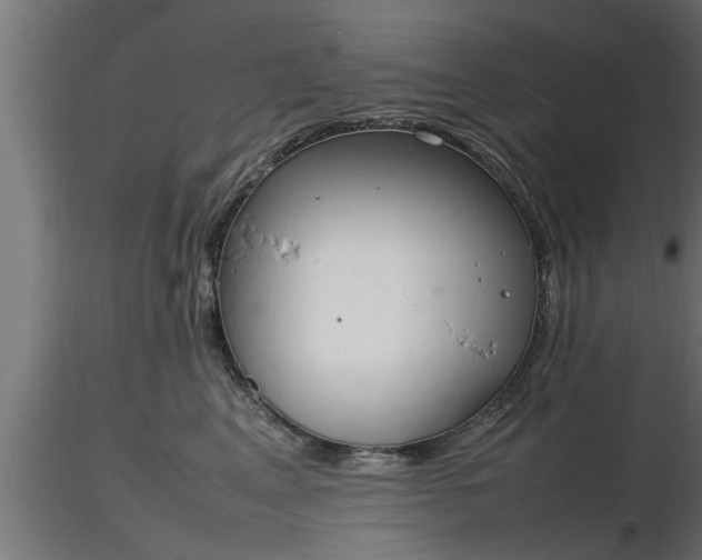 X0000116880617200912291243