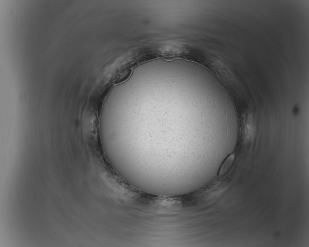 X0000116880619200912291243