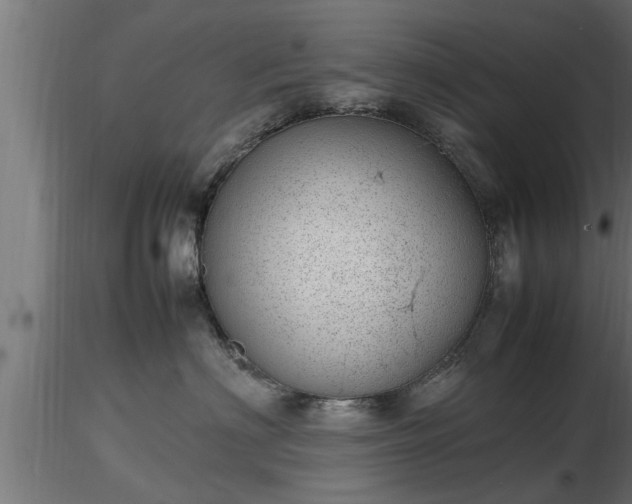 X0000116880622200912291243