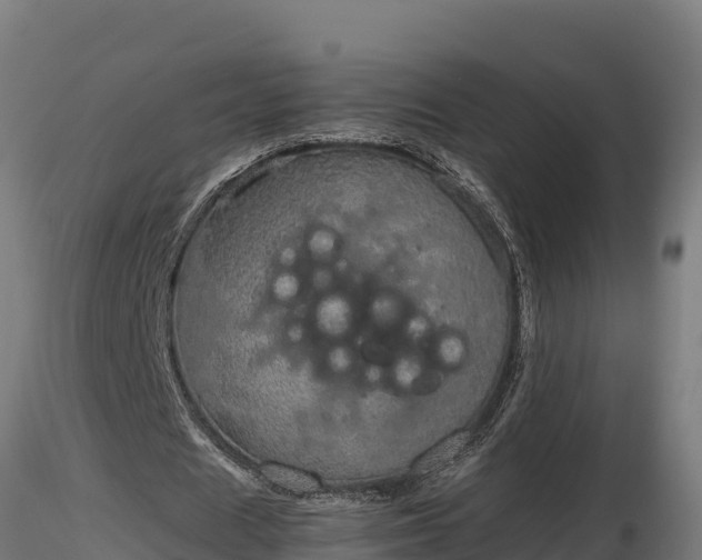 X0000116880625200912291243