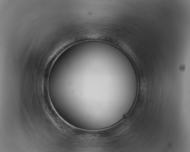 X0000116880626200912291243
