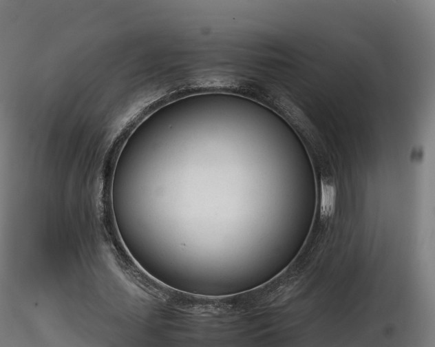 X0000116880627200912291243