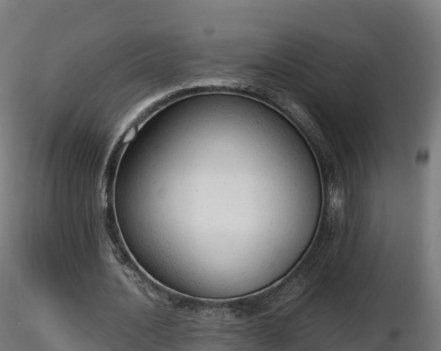 X0000116880628200912291243