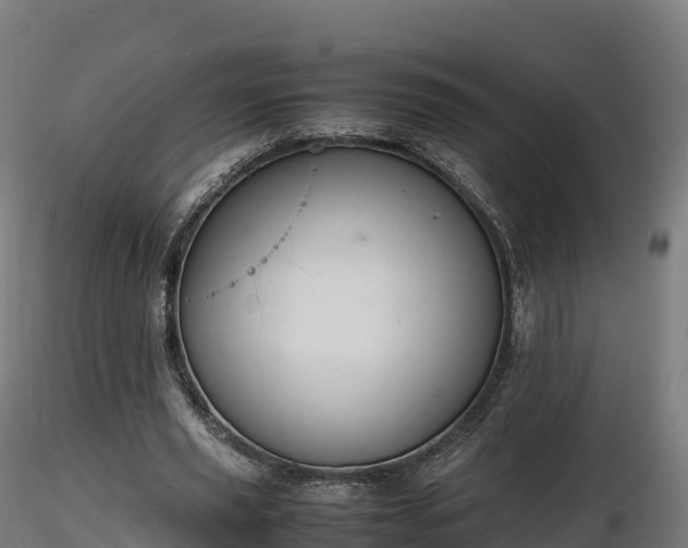 X0000116880629200912291243