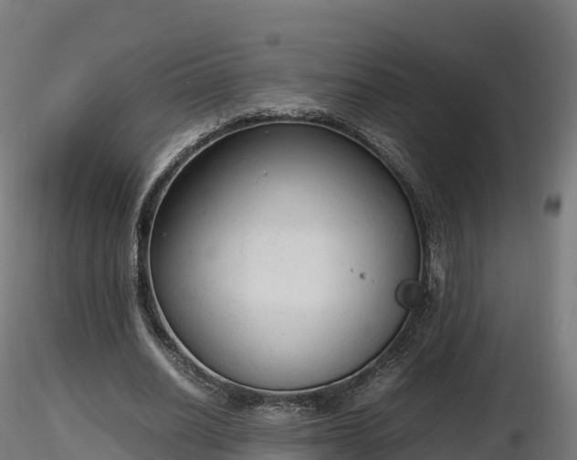X0000116880630200912291243