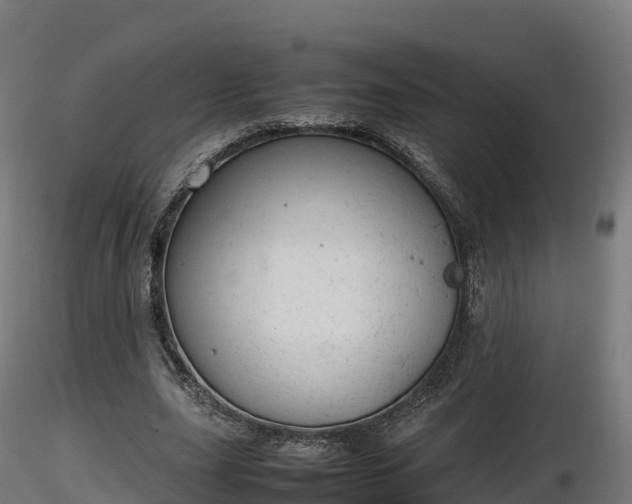 X0000116880631200912291243