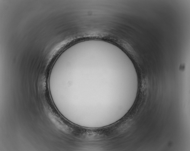 X0000116880632200912291243