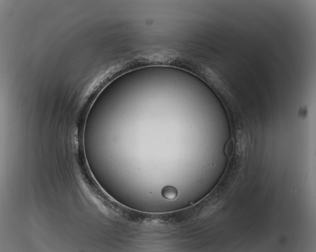 X0000116880634200912291243