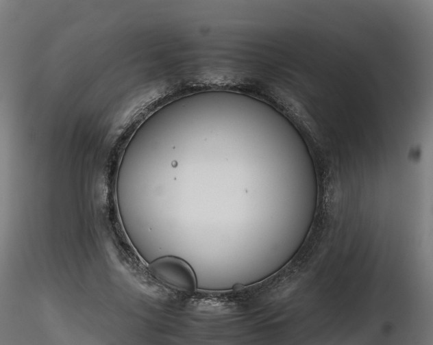 X0000116880635200912291243