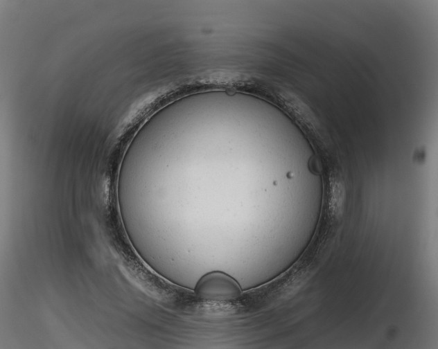 X0000116880636200912291243