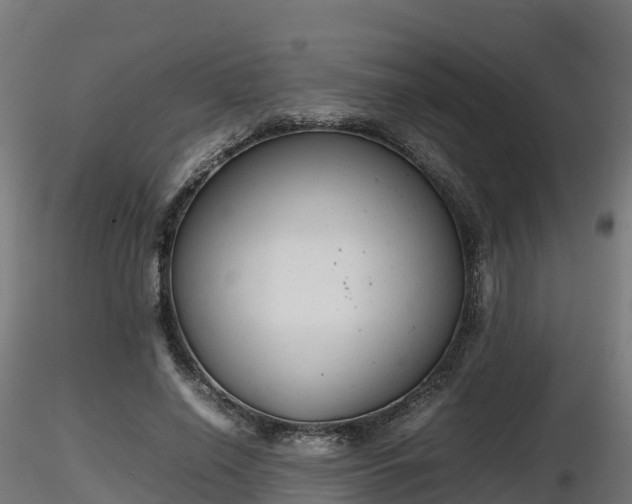 X0000116880638200912291243