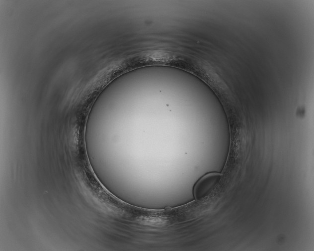X0000116880639200912291243