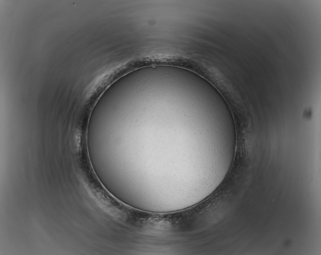 X0000116880640200912291243