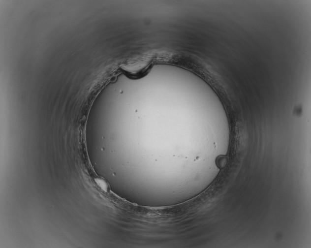 X0000116880641200912291243