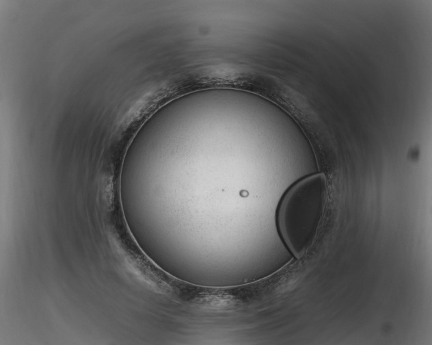 X0000116880642200912291243