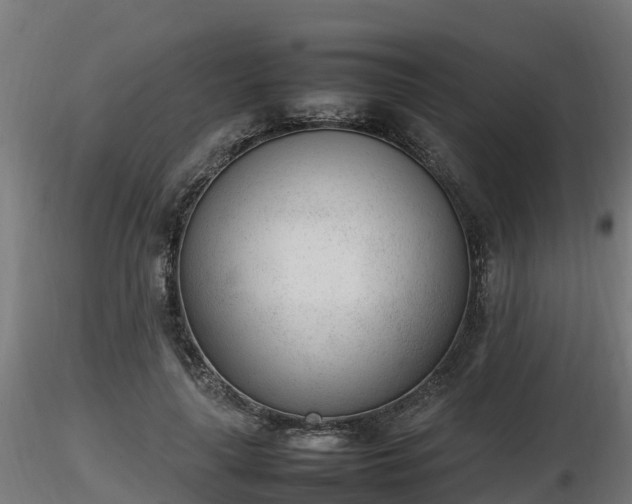 X0000116880643200912291243