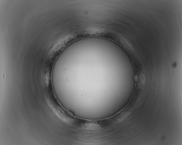 X0000116880644200912291243