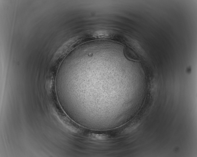 X0000116880645200912291243