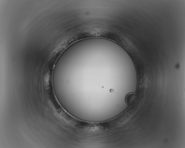 X0000116880646200912291243