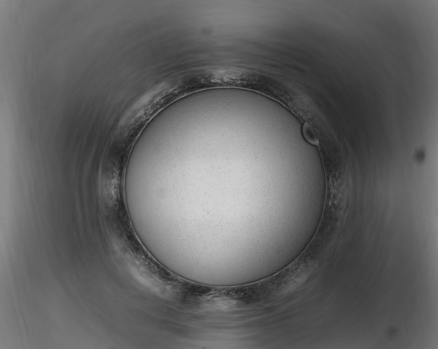X0000116880648200912291243