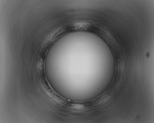X0000116880649200912291243