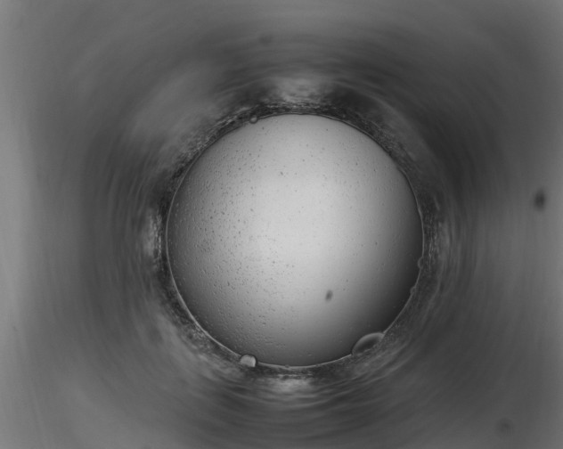 X0000116880651200912291243