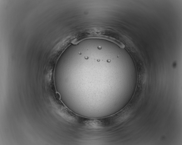 X0000116880652200912291243