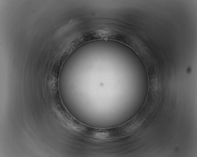 X0000116880653200912291243