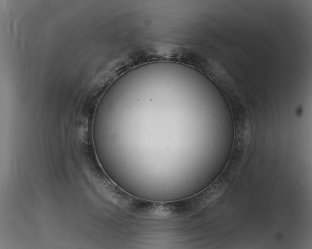 X0000116880656200912291243