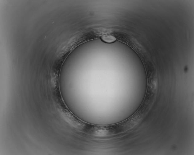 X0000116880658200912291243
