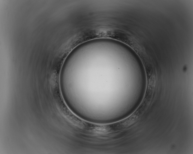 X0000116880659200912291243