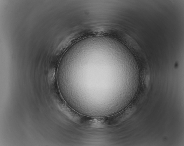 X0000116880660200912291243
