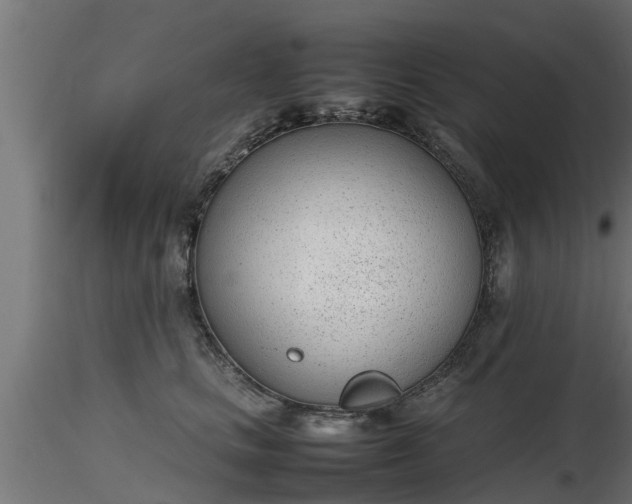 X0000116880661200912291243