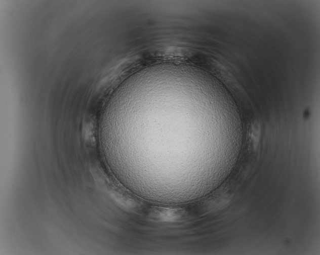 X0000116880663200912291243
